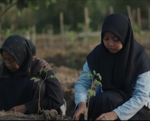 Kegiatan pertanian di DSA Ponpes Fathul Ulum, Kabupaten Jombang.